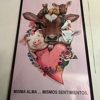  at Tulasi in Cochabamba