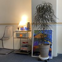 interior   at Godny Cafe in Seoul