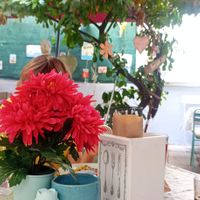  at Anyám Szerint in Budapest