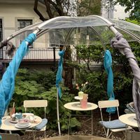   at Anyám Szerint in Budapest