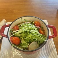 Shepherds pie  at Chīsù De - Veggie Table in Beijing