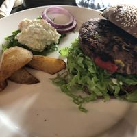 No, I hadn’t eaten any chips...I was given 4 at Chīsù De - Veggie Table in Beijing