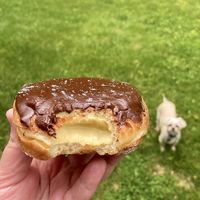 My favorite, the boston cream!  at Neil's Donuts in Middletown