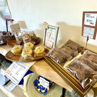   at Panda Pool Muffin in Gifu