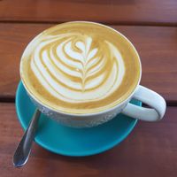 Delicious oat milk latte at Karma Cafe and Fitness in Parap