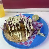   at Paxil in Mexico City