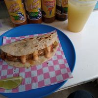  at Paxil in Mexico City