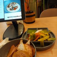 Entrada de taro con salidas súper ricas at Hummus YA! in Mexico City