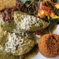 Vegan enchiladas  at El Nuevo Mexicano in Chicago