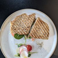 Herbivore at Café Blackbird in Edmonton