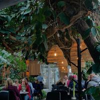 Interior at Tropikhuset in Linkoping