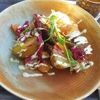 Falafel with potatoes, cabbage and apples at Tropikhuset in Linkoping