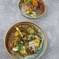  at Tropikhuset in Linkoping