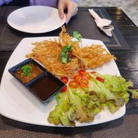   at Plant-erian in Krabi