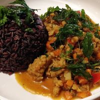 Chilli basil & soy meat stir-fry, with red riceberry at Plant-erian in Krabi