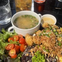   at Plant-erian in Krabi