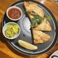   at Plant-erian in Krabi