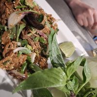  at Plant-erian in Krabi