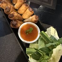   at Plant-erian in Krabi