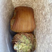 Pain Suisse and almond, pistachio and blueberry cruffin   at Saint-Jean in Amsterdam