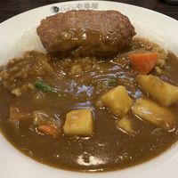 Vegetable curry with soy meat hamburger and vegetables  at Coco Ichibanya - Edogawabashi Station in Tokyo