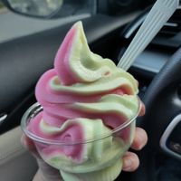 Owner was nice and gave us a vegan sherbet for free! at Thai Neighbor in Oak Park