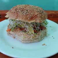 Vegan burguer at Natura 2000 in Campeche