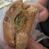 Chori soya torta at Natura 2000 in Campeche