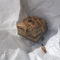 Coffee scone at Tokyo Vegan Bakes in Tokyo