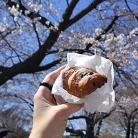Choccy croissaint at Tokyo Vegan Bakes in Tokyo