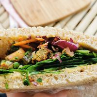 Falafel hummus and salad sandwich at Kafe Koala in Kennett River