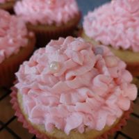 Pretty frilly cupcakes 🧁 at Worthy ABCV Vegan Baked Goods in Kentville