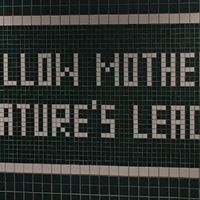 Wall art  at Sweetgreen - Lexington Ave in New York City