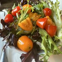 Side salad    at The Mercury Café in New Castle