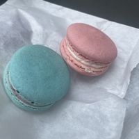 Macarons  at Lazy Cow Bakery in Seattle