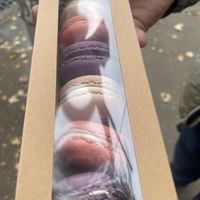Macaroons  at Lazy Cow Bakery in Seattle