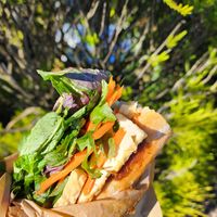  at The Laughing Elephant in Wentworth Falls