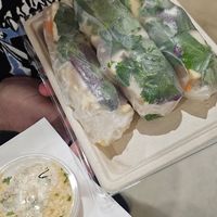 Vegan rice paper rolls at The Laughing Elephant in Wentworth Falls