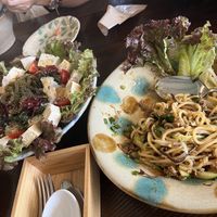   at Gajimaru in Okinawa