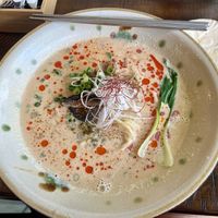   at Gajimaru in Okinawa