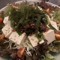   at Gajimaru in Okinawa