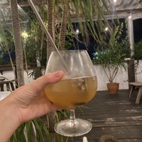   at Gajimaru in Okinawa