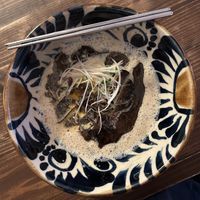   at Gajimaru in Okinawa