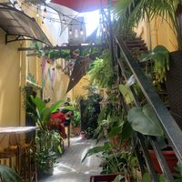 What awesome decor.  We loved it!! #Veganuary at Dushi Delicious  in Oranjestad