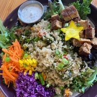 Special of the day- Grateful Grain Bowl with garlic tofu and creamy dill dressing at Wild Chestnut Cafe in Florence