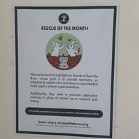 Rescue of the month May 2025 💞   at Wild Chestnut Cafe in Florence