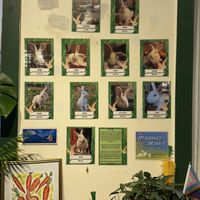 May 2025 Animal Rescues  at Wild Chestnut Cafe in Florence