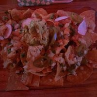   at Pedal Haus Brewery in Phoenix