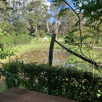   at haha vegan Ryokan in Beechworth