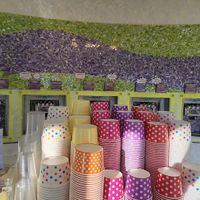  at Skinny D's Yogurt in Mill Creek